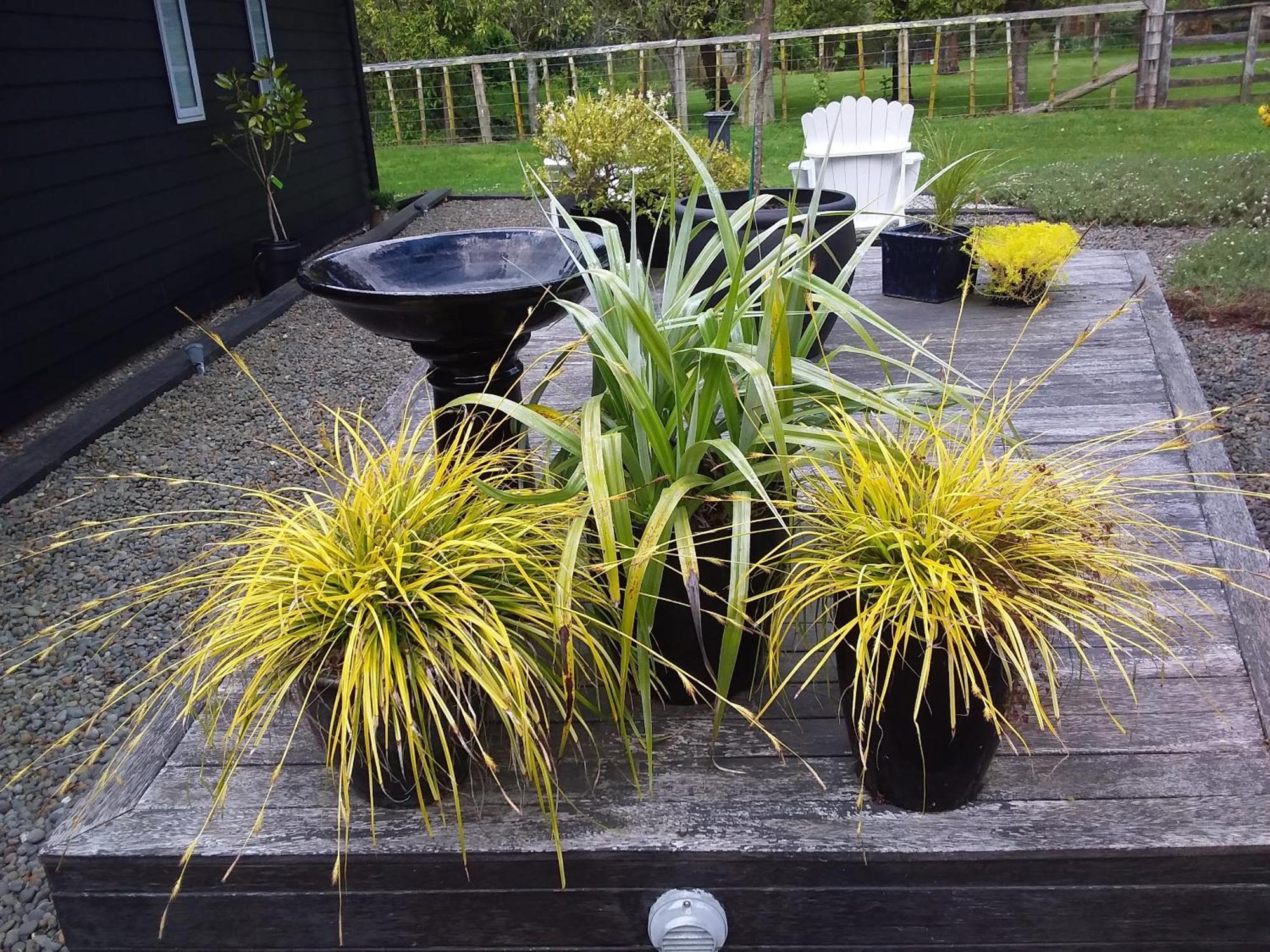 Karapiro Willows Luxury B&B Cambridge Zewnętrze zdjęcie