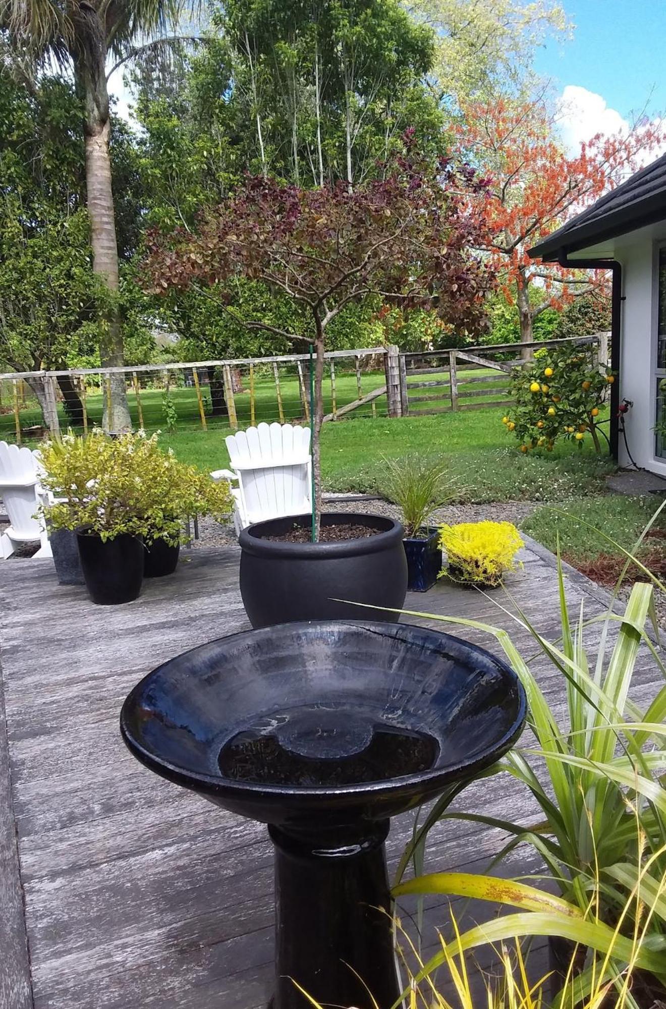 Karapiro Willows Luxury B&B Cambridge Zewnętrze zdjęcie