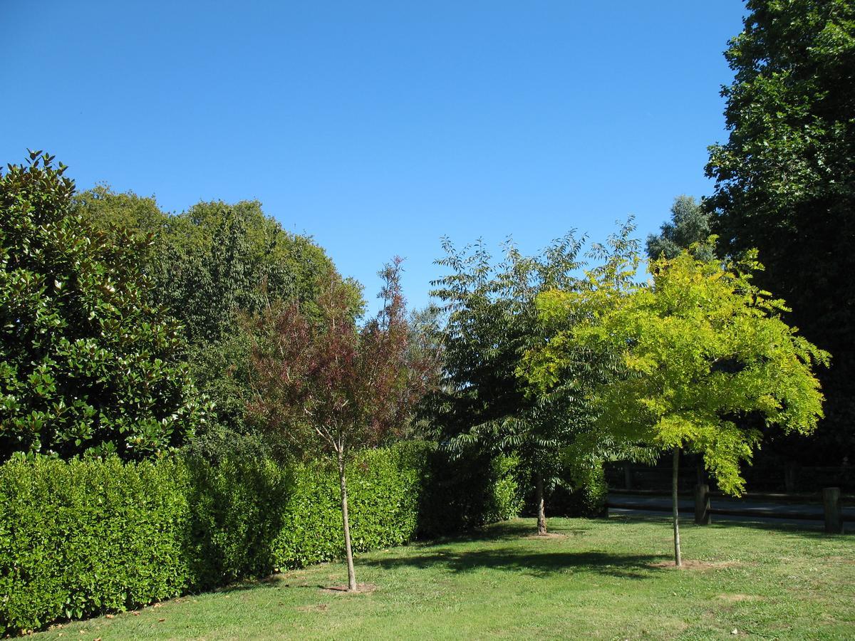 Karapiro Willows Luxury B&B Cambridge Zewnętrze zdjęcie